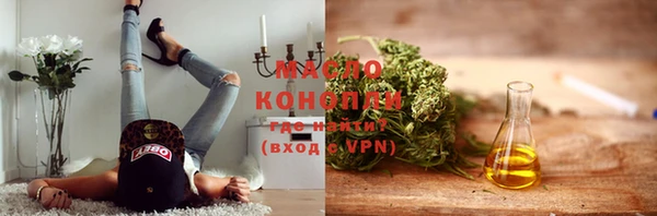 mdpv Инсар