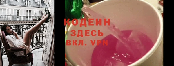 стаф Каменка