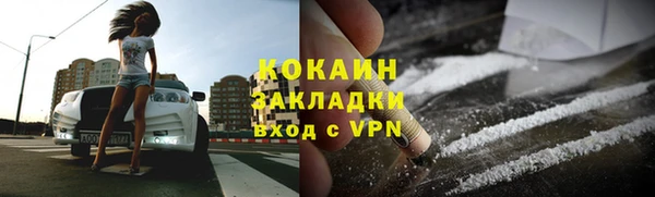 mdpv Инсар