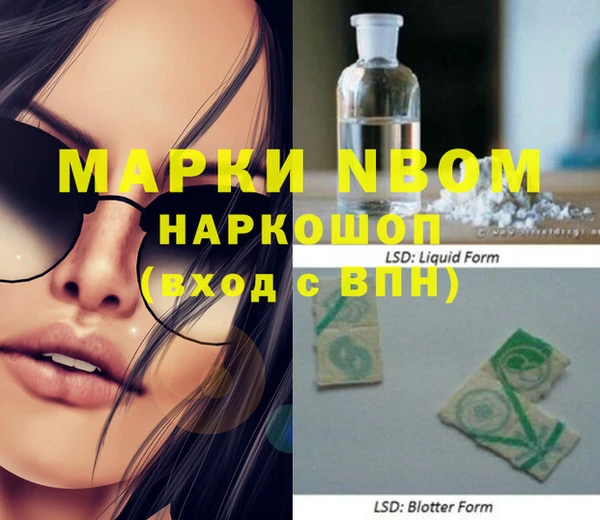 mdpv Инсар