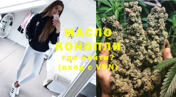 стаф Каменка