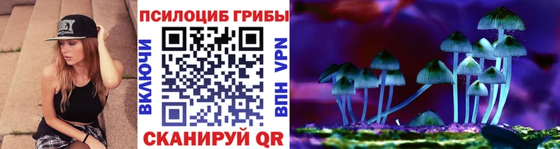 Купить  Камышлов  Галлюциногенные грибы Psilocybe 